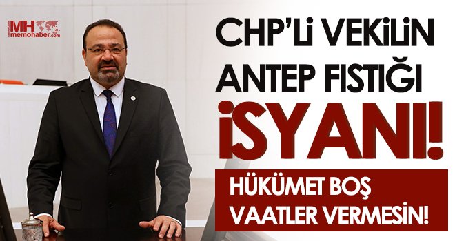 CHP’li Vekilin Antep Fıstığı İsyanı! 