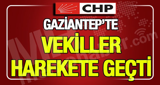 CHP'nin eczacı vekilleri şiddete karşı harekete geçti