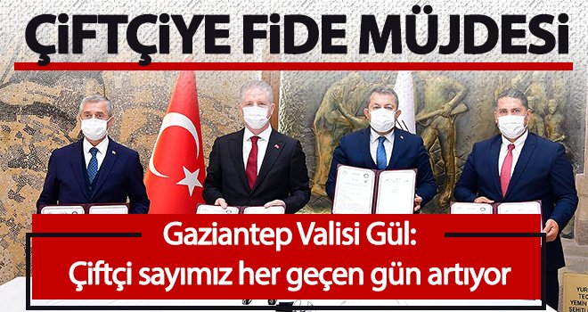 Çiftçiye 15 milyon adet fide desteği verilecek