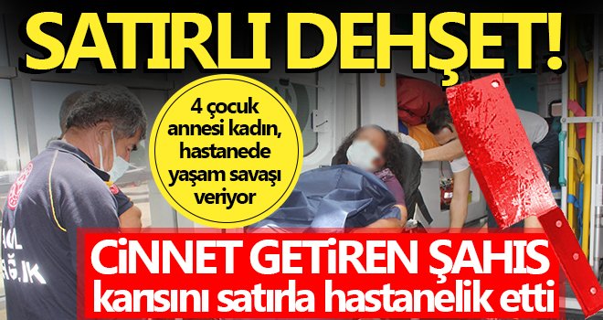 Cinnet getiren şahıs karısını satırla hastanelik etti!