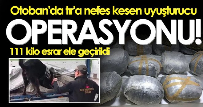 Dorseye brandayla gizlenen esrar'ı dedektör köpek buldu