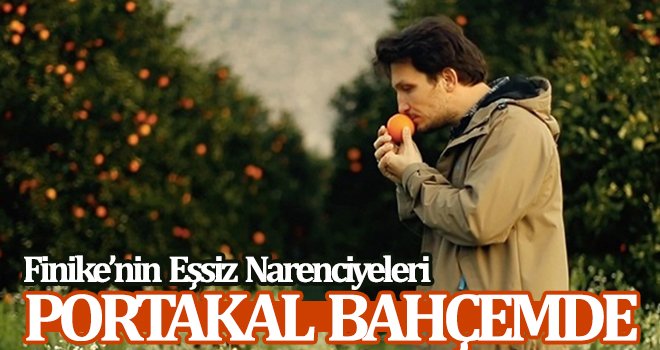 Finike’nin Eşsiz Narenciyeleri Portakal Bahçemde