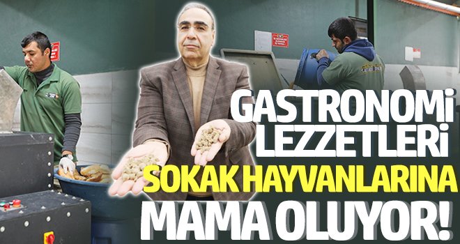 Gastronomi lezzetleri sokak hayvanlarına mama olarak sunuyor