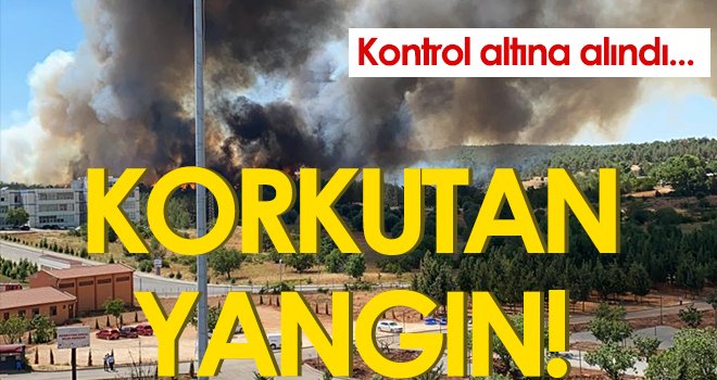 Gaziantep Burç Ormanı Yangını kontrol altına alındı