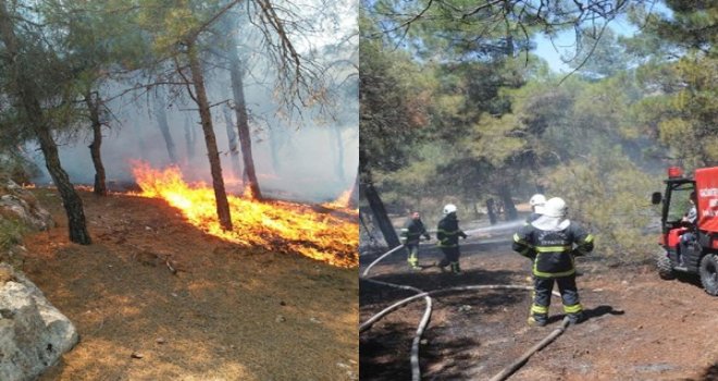 Gaziantep Dülük Tabiat Parkı'nda yangın