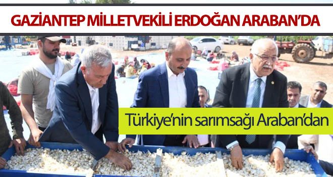 Gaziantep Milletvekili Mehmet Erdoğan Araban’da