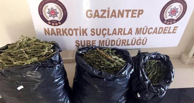 Gaziantep'te 20 kilo esrara 2 gözaltı