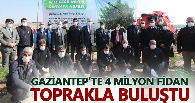 Gaziantep’te 4 milyon fidan toprakla buluştu