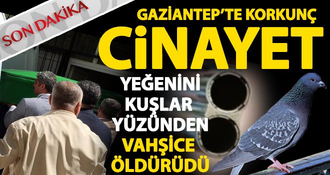 Gaziantep'te acı olay! Gözünü kırpamadan yeğenini öldürdü