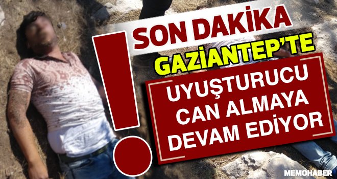 Gaziantep'te bonzai can almaya devam ediyor