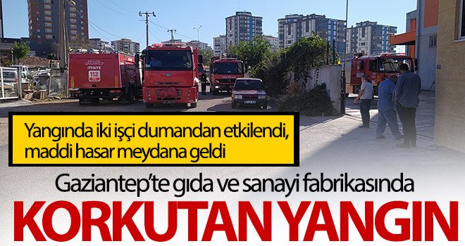 Gaziantep’te gıda ve sanayi fabrikasında korkutan yangın