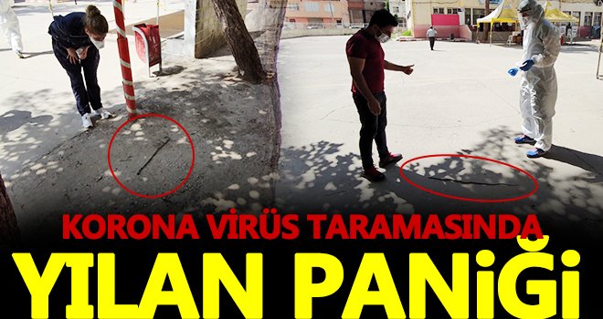 Gaziantep'te korona virüs taramasında yılan paniği