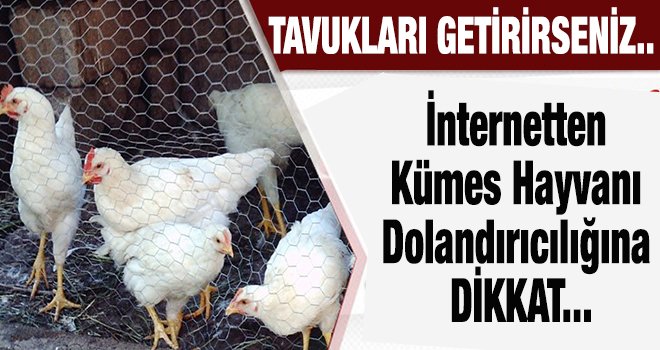 Gaziantep'te ilan vererek yakayı ele verdi...