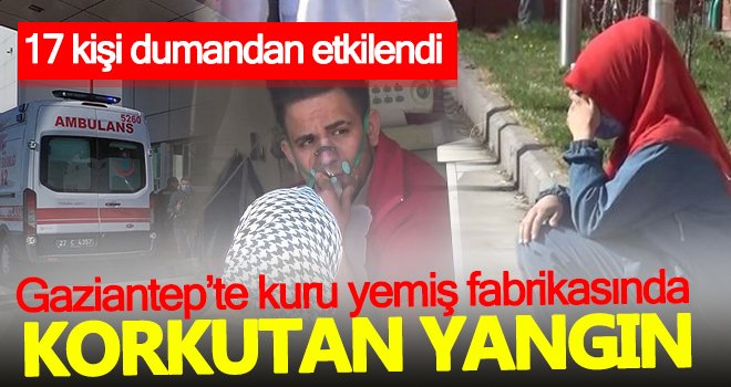 Gaziantep'te kuru yemiş fabrikasında korkutan yangın! 17 işçi dumandan etkilendi