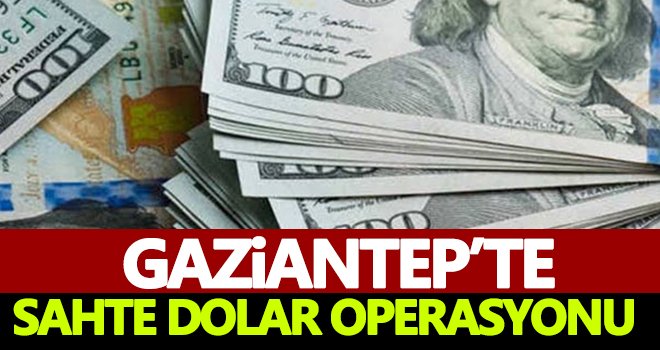 Gaziantep'te operasyon! Onlarca dolar ele geçirildi