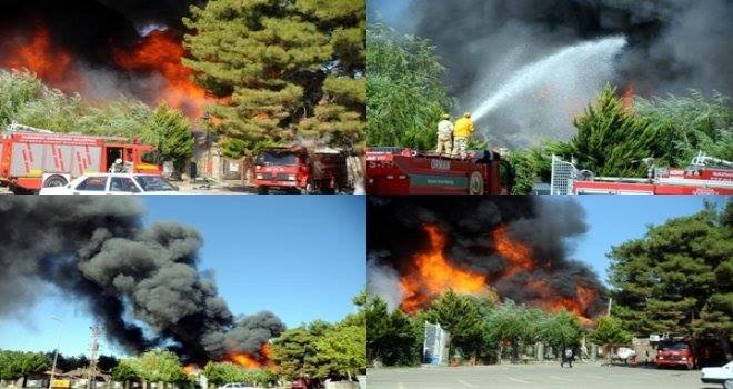 Gaziantep’te ormanlık alandaki restoranda korkutan yangın