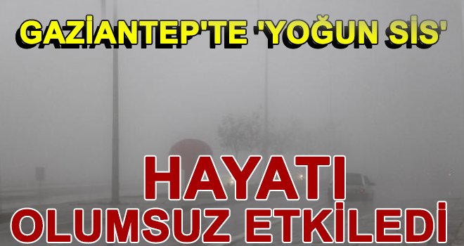 Gaziantep'te yoğun sis!..