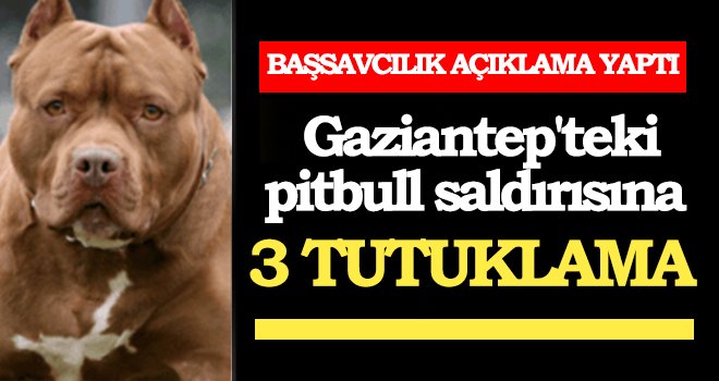 Gözaltına alınan 6 şüpheli şahıstan 3'ü tutuklandı