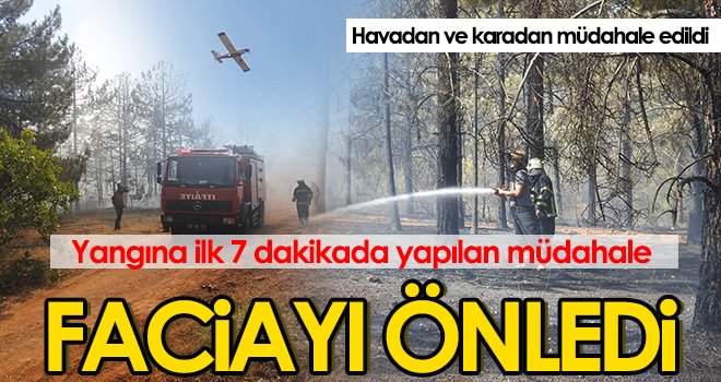 Havadan ve karadan müdahale edildi, korkulan olmadı