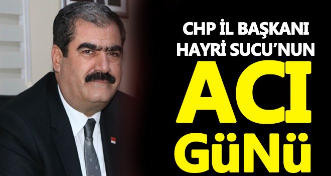 Hayri Sucu'nun anne acısı!