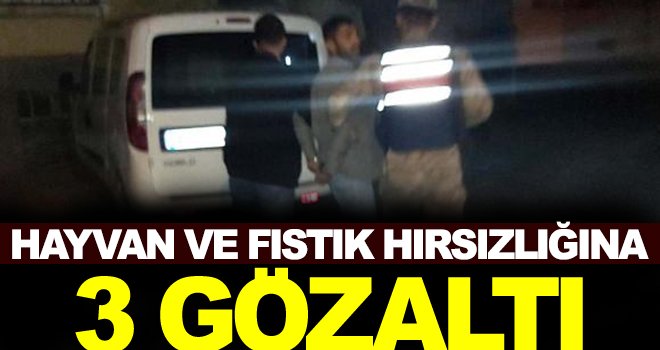 Hayvan ve fıstık hırsızlığında 3 kişi gözaltına alındı