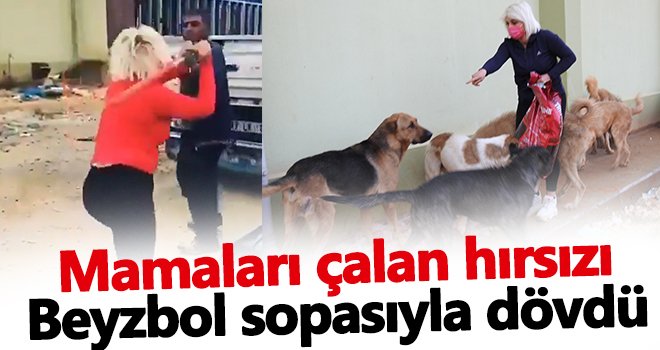 Hayvansever, hırsıza beyzbol sopası ile saldırdı