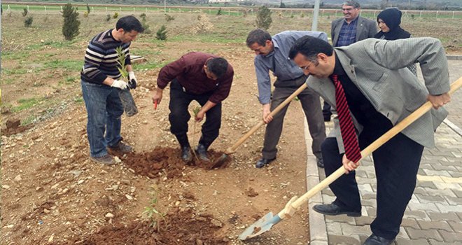 İslahiye MYO’dan Fidan Dikme Etkinliği