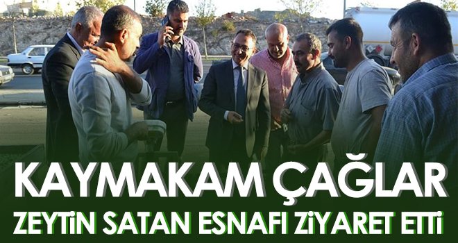 Kaymakam Çağlar, Zeytin Satan Esnafı Ziyaret Etti 