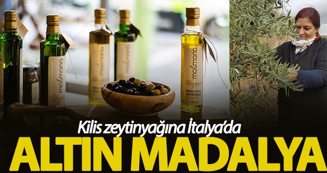 Kilis zeytinyağına İtalya’da altın madalya