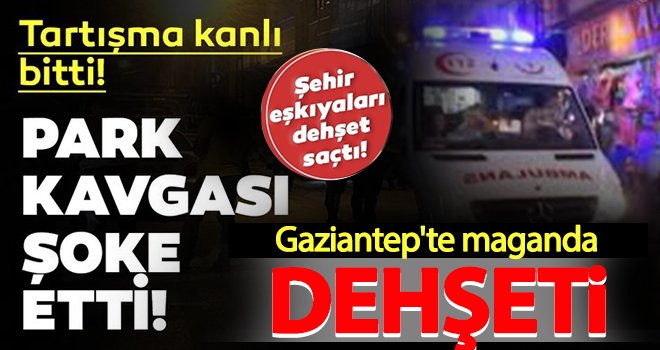 Maganda dehşeti! Çocuğunun gözü önünde vuruldu