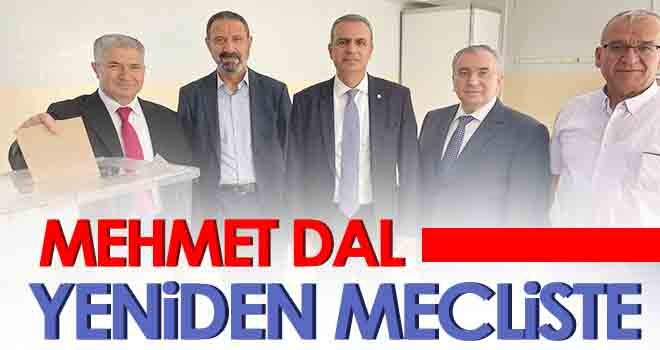 Mehmet Dal, yeniden mecliste...