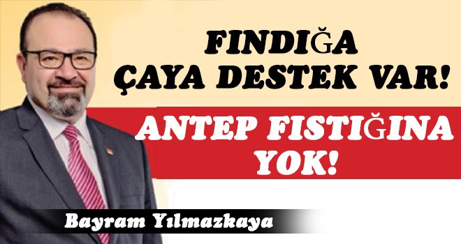 Yılmazkaya: Antep fıstığı üreticileri zararda!