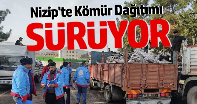 Nizip'te Kömür Dağıtımı Sürüyor 