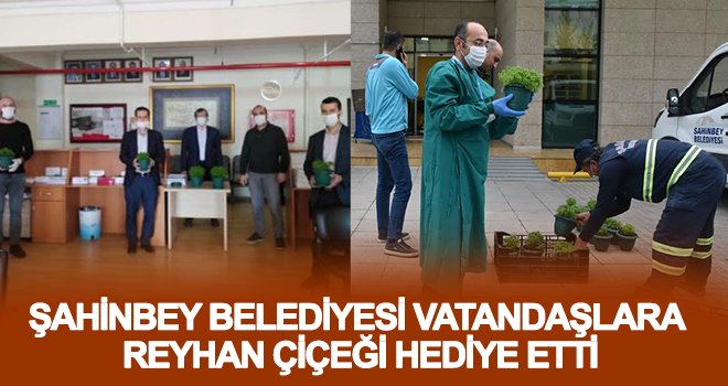 Şahinbey belediyesi'nden vatandaşa 30 bin reyhan çiçeği