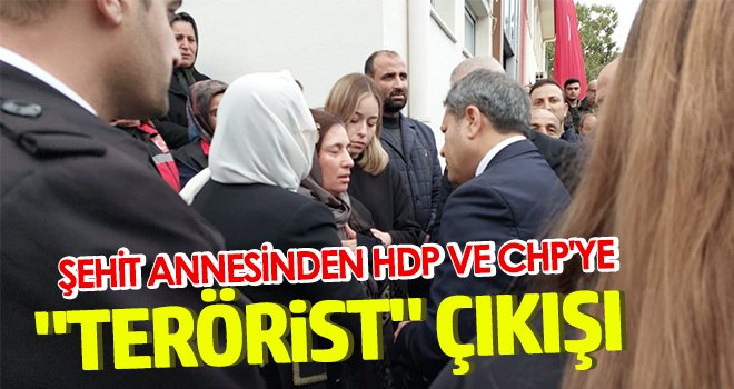 Şehit annesinden HDP ve CHP'ye terörist çıkışı