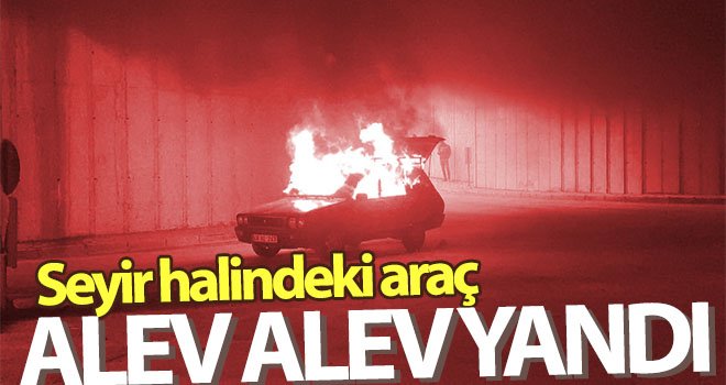 Seyir halindeki araç alev alev yandı