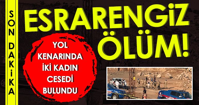 Sır ölüm! Yol kenarında iki kadın cesedi bulundu