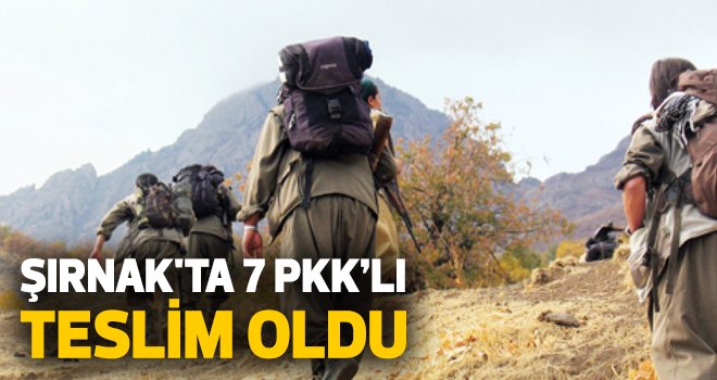 Şırnak'ta 7 PKK'lı teslim oldu