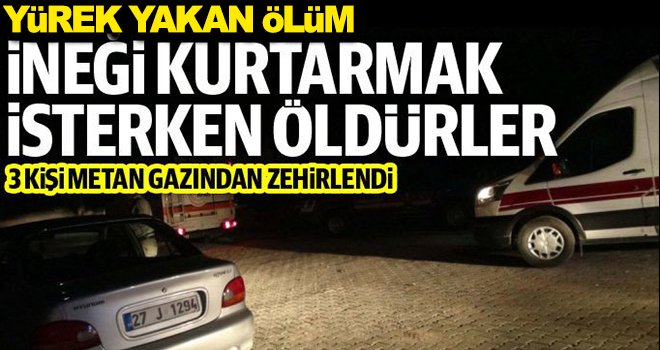 İneği kurtarmak için indikleri kuyudan bir daha çıkmadılar