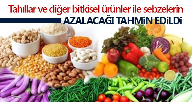 Tahıllar ve diğer bitkisel ürünler ile sebzelerin azalacağı tahmin edildi