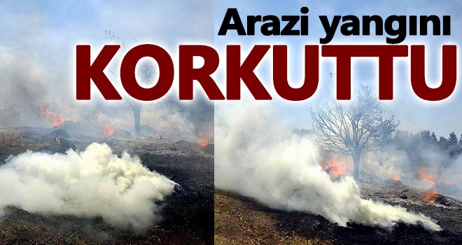 Tarım arazisinde çıkan yangın korkuttu...