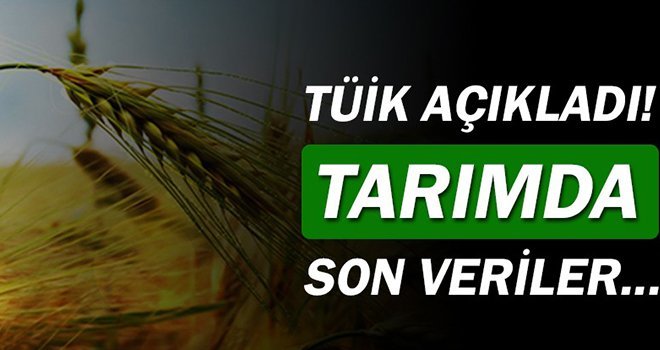 Tarım ürünlerinde fiyatlar arttı...