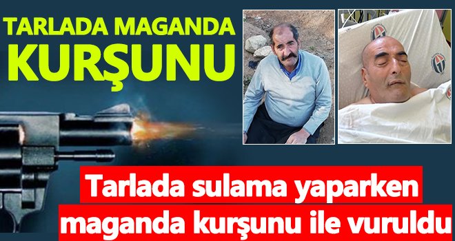 Tarlada sulama yaparken maganda kurşunu ile vuruldu