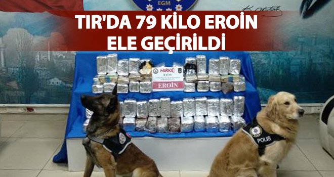 TIR'da eroin ele geçirildi, sürücü tutuklandı