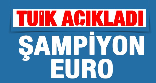 TUİK’in verilerine göre şampiyon Euro