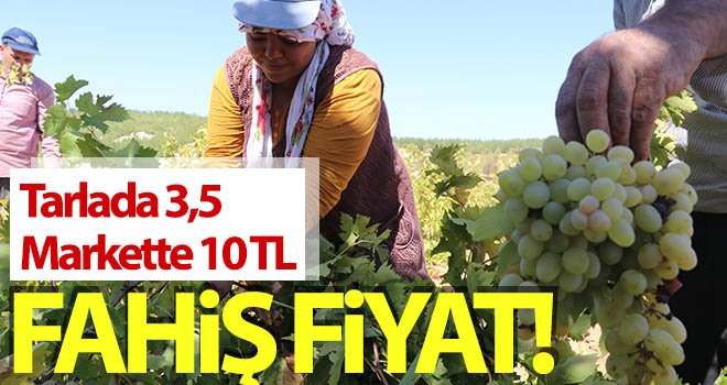 Üretici fiyat farkından rahatsız! Tarlada 3,5, markette 10 TL