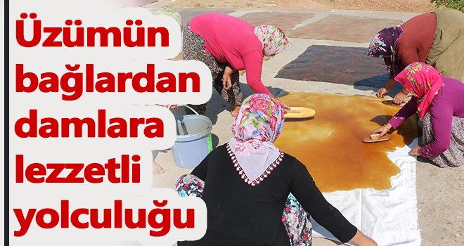 Üzümün bağlardan damlara lezzetli yolculuğu