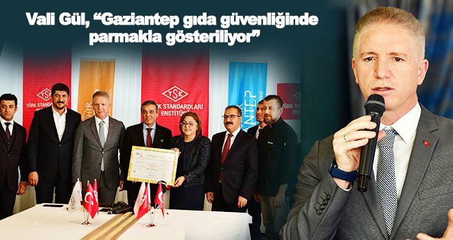 Vali Gül: MSM aynı zamanda bir okul, eğitim yuvası