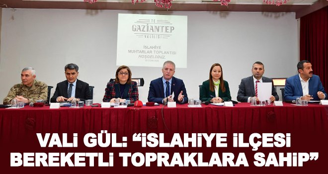 Vali Gül: Olağanüstü bir değer, olağanüstü bir estetik var