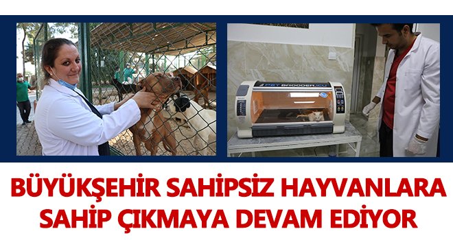 Yapılacak yeni tesis hayvanların yeni yuvası olacak